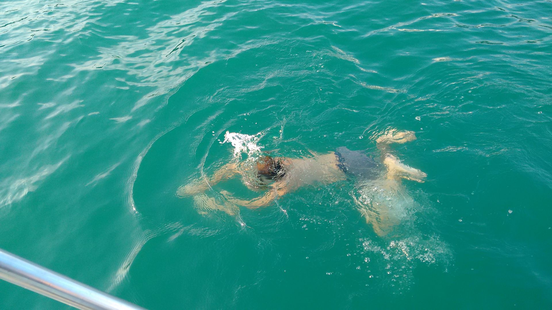 K IMG 20180811 191118577