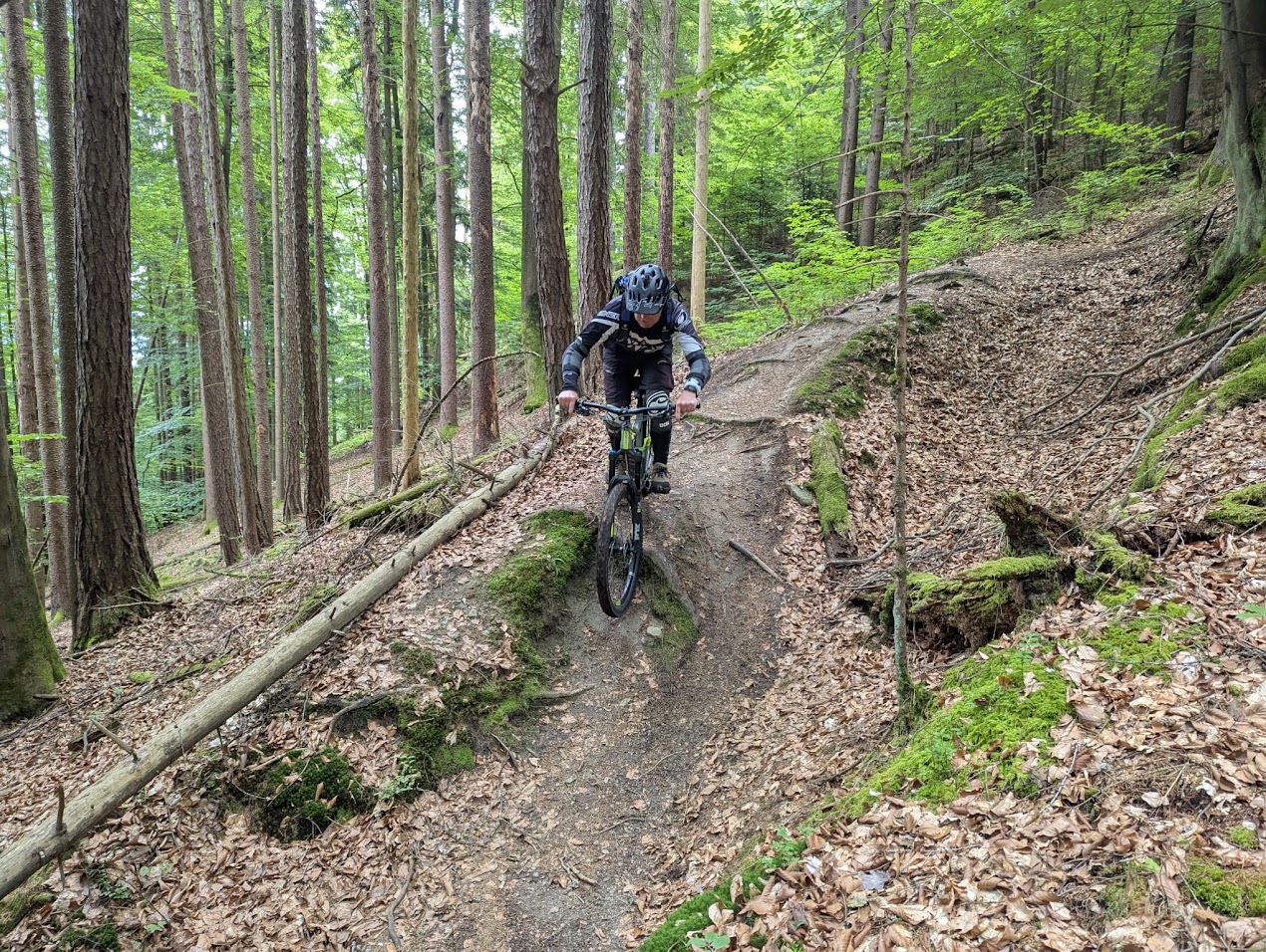 6cebe525 44b2 4c05 a4e9 f8621b820be2