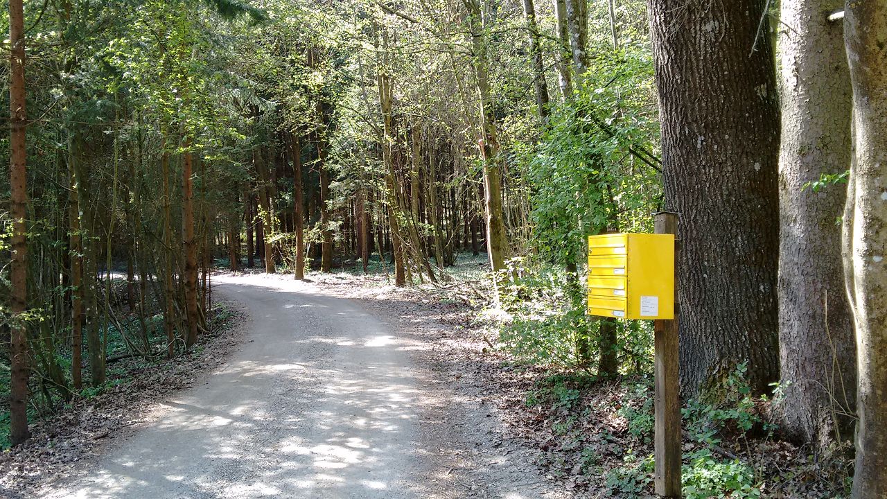 K IMG 20170401 143403639