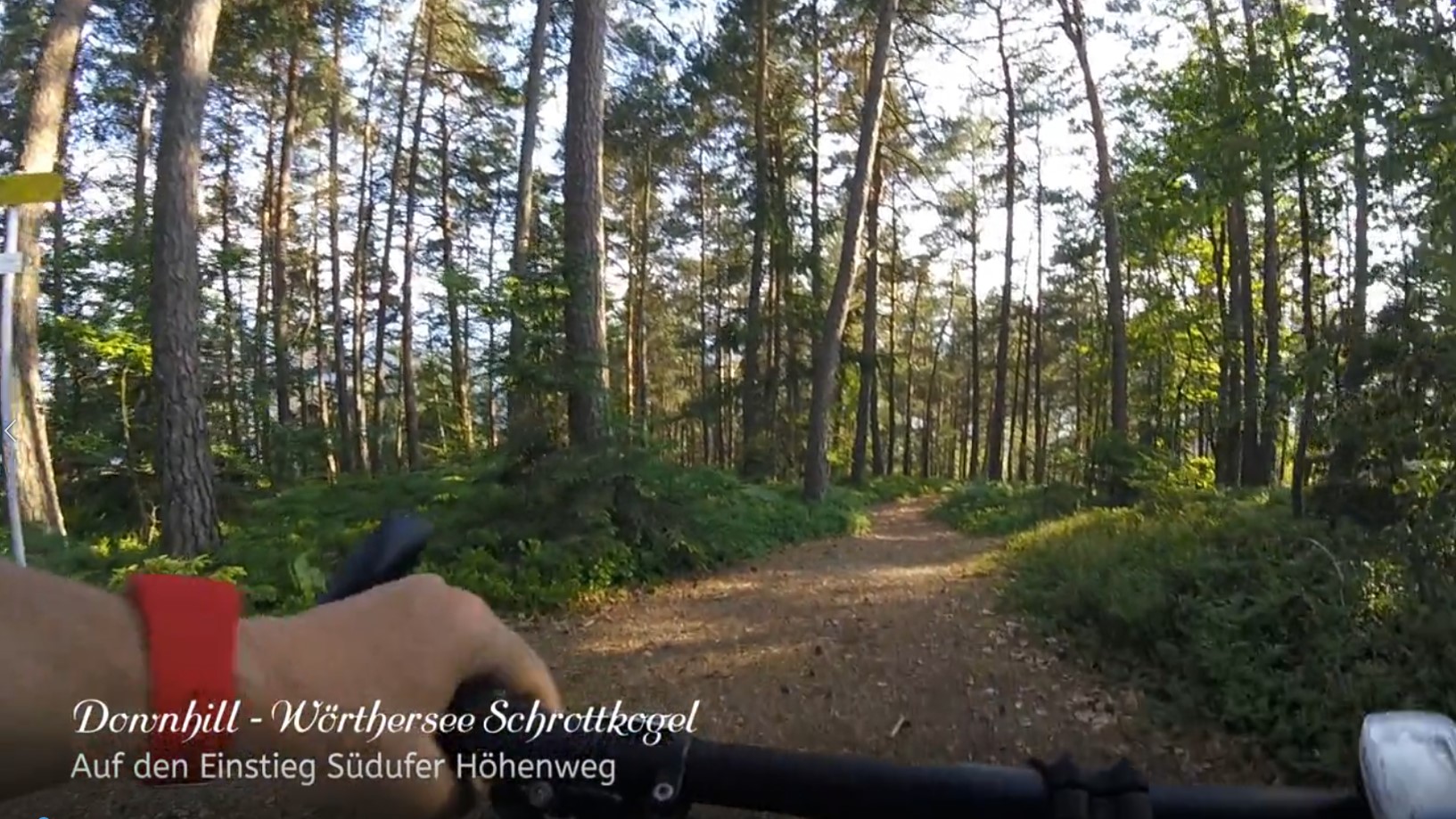 Juni (Downhill Video)