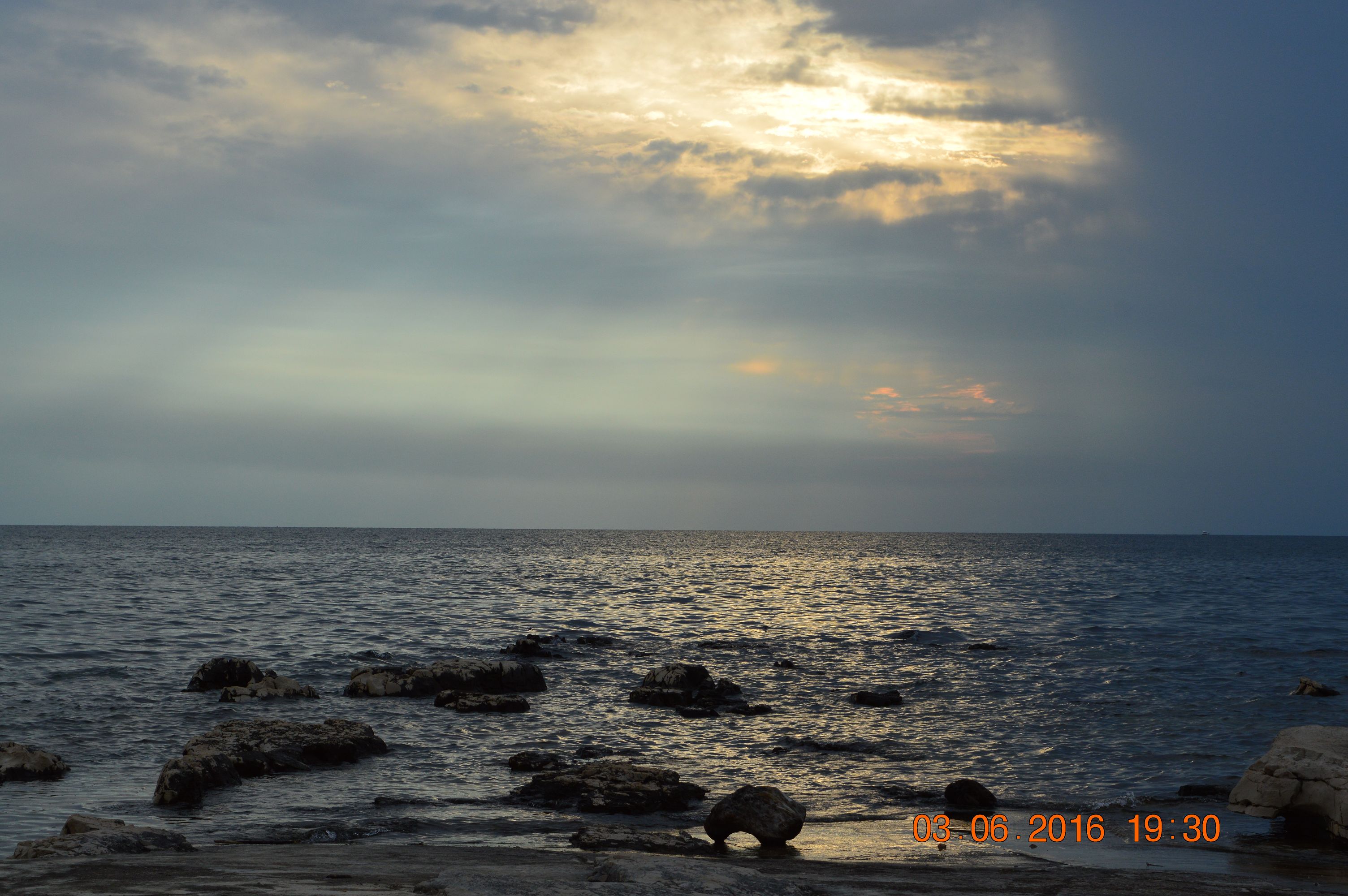 K DSC 0719