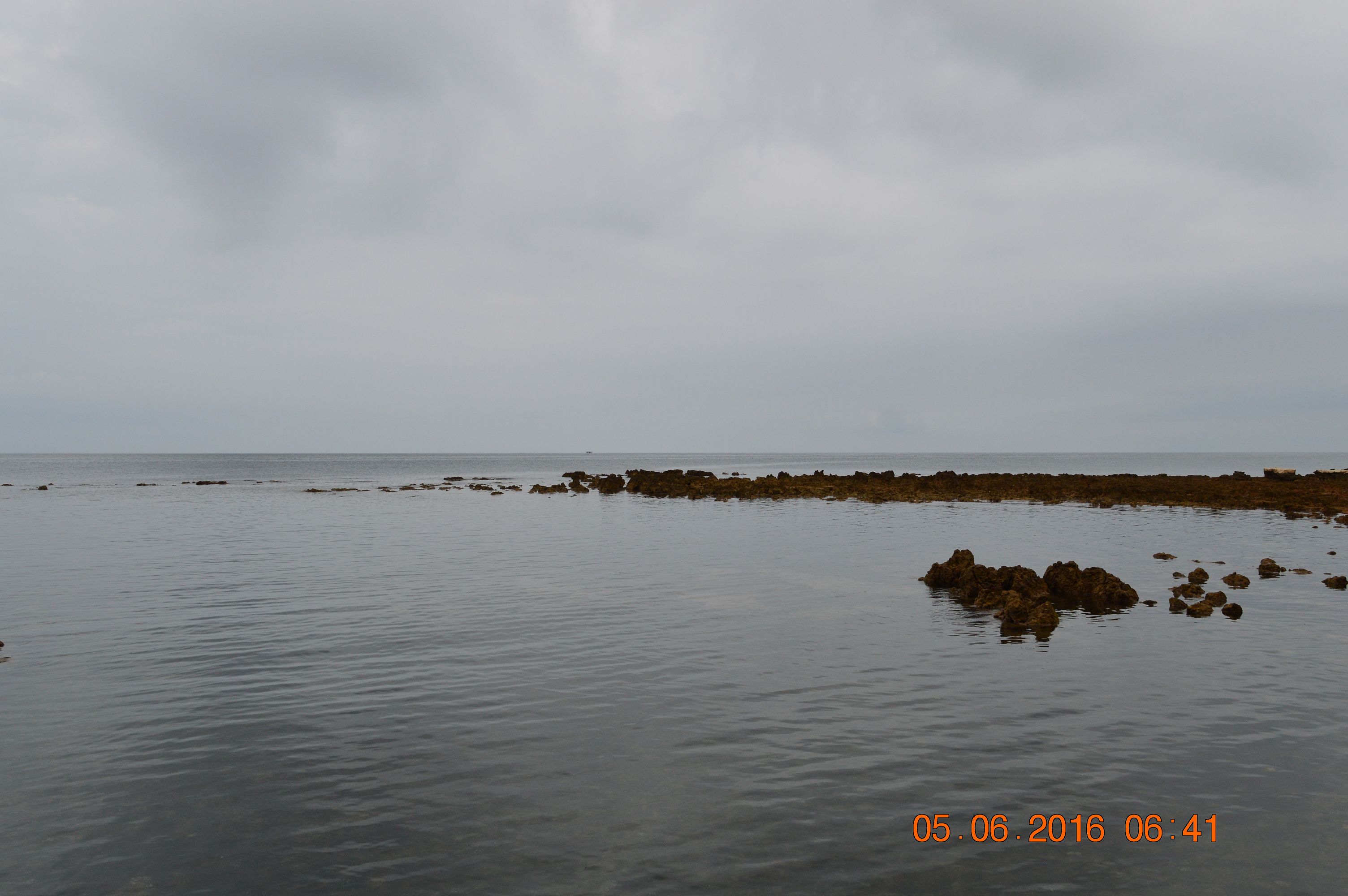 K DSC 0753