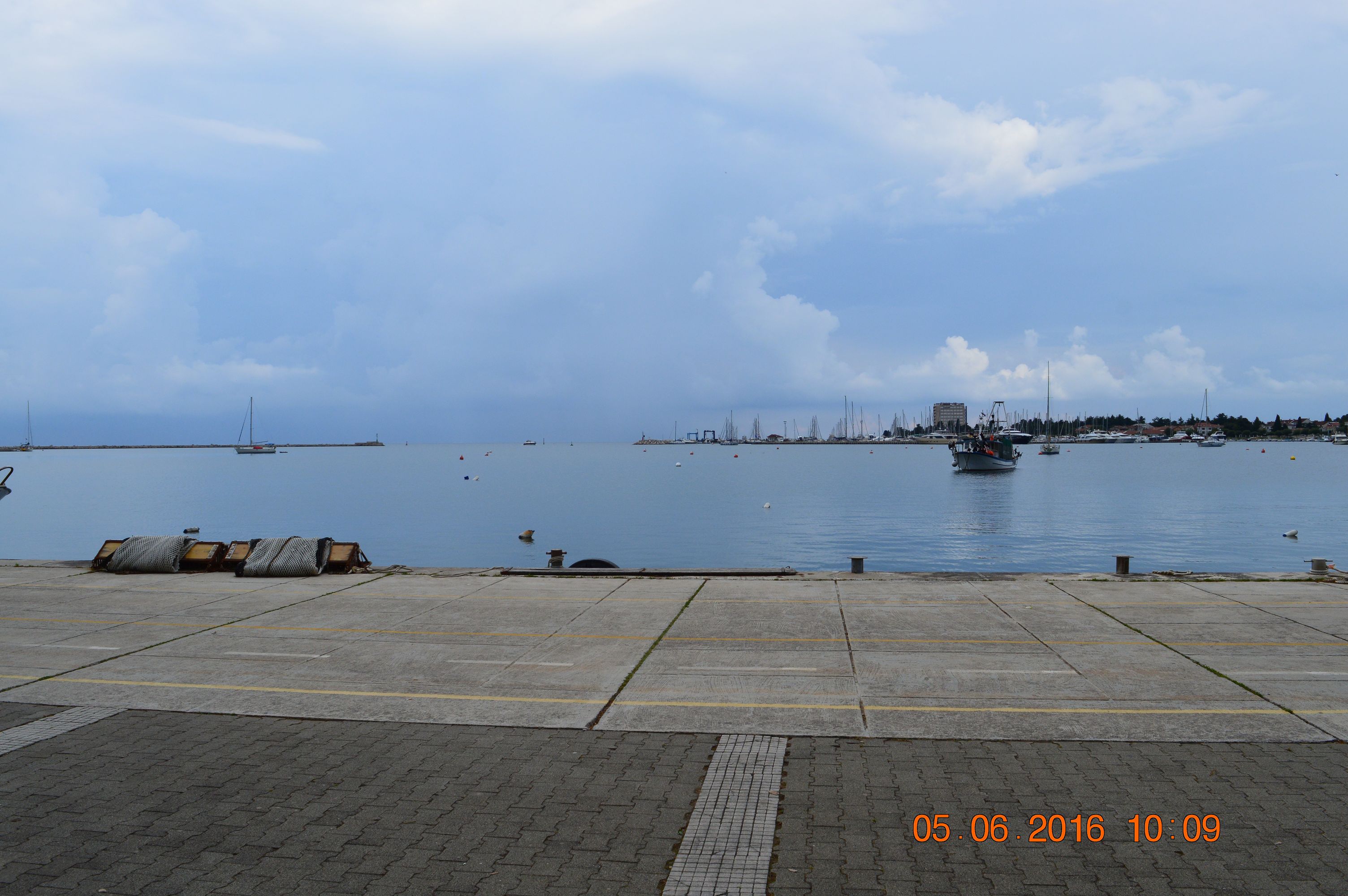 K DSC 0769