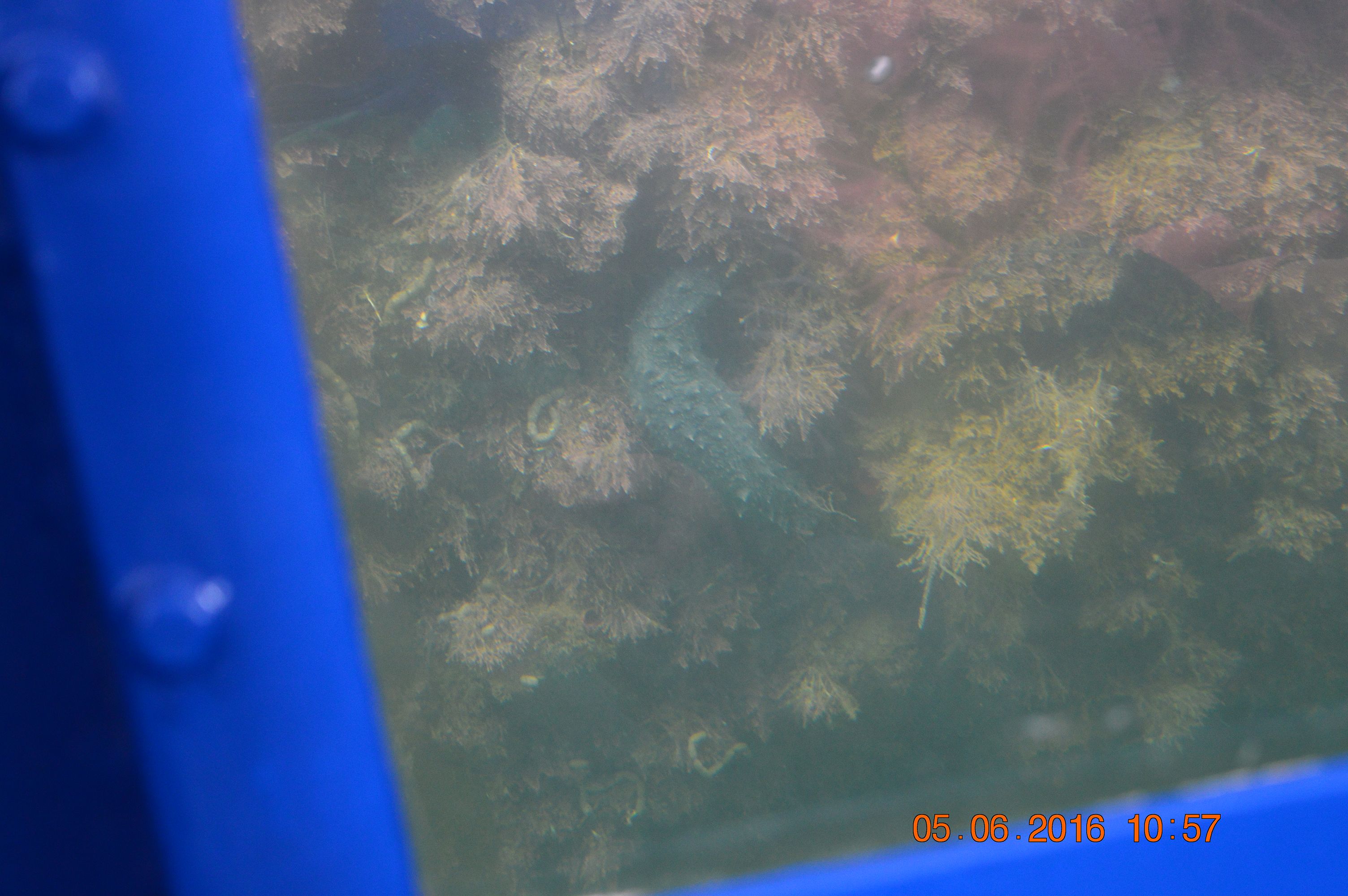 K DSC 0809