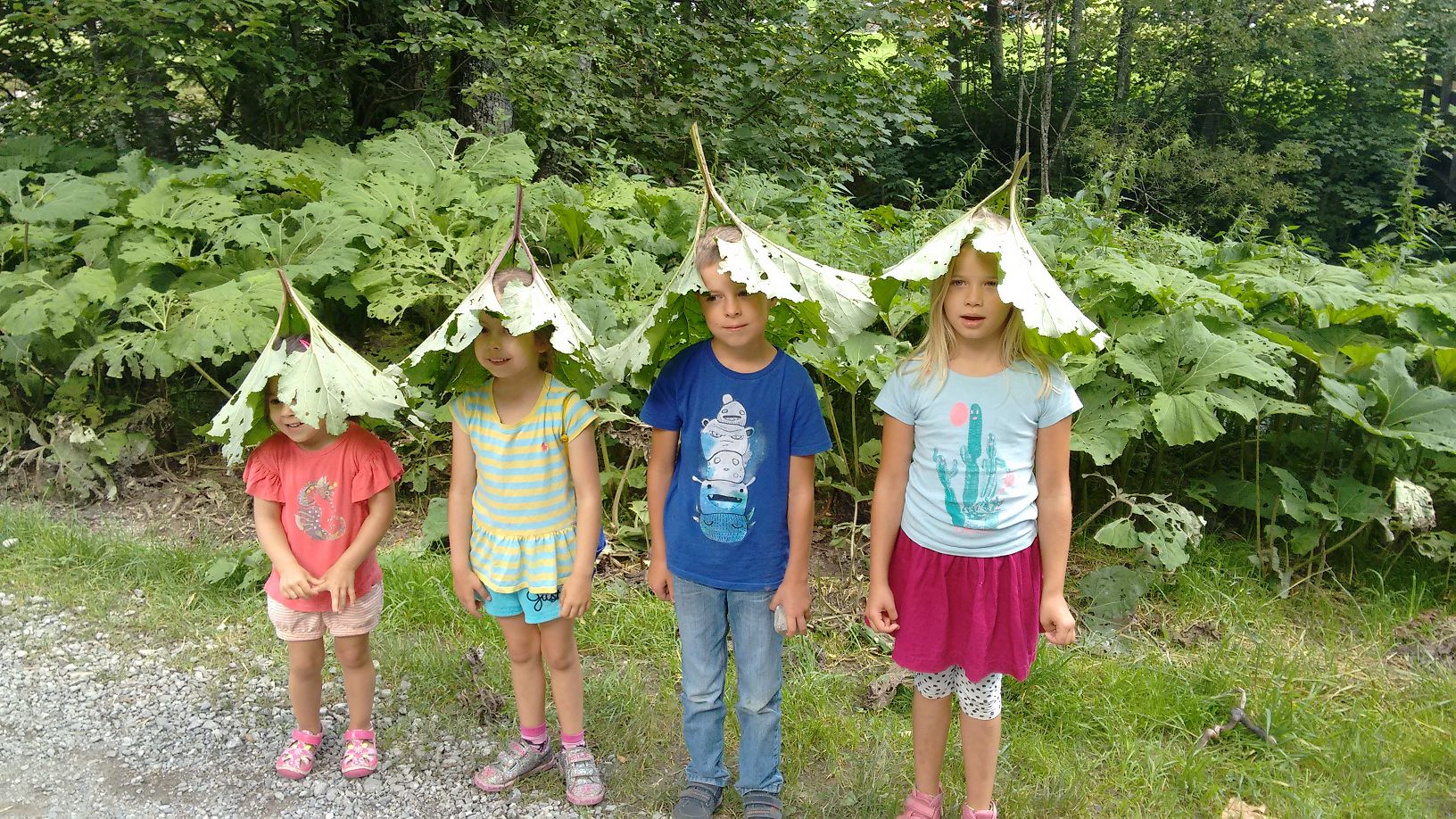 K IMG 20160816 112113228