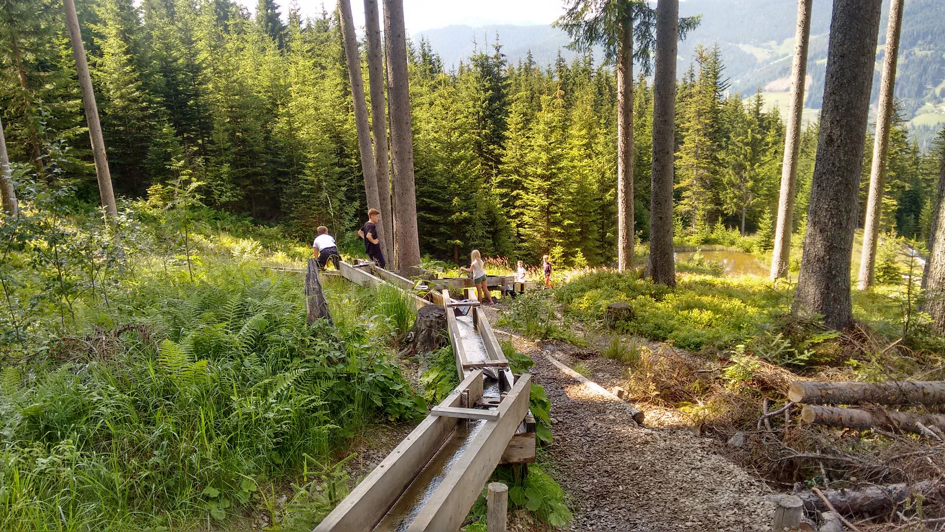 IMG 20180724 155808718 HDR